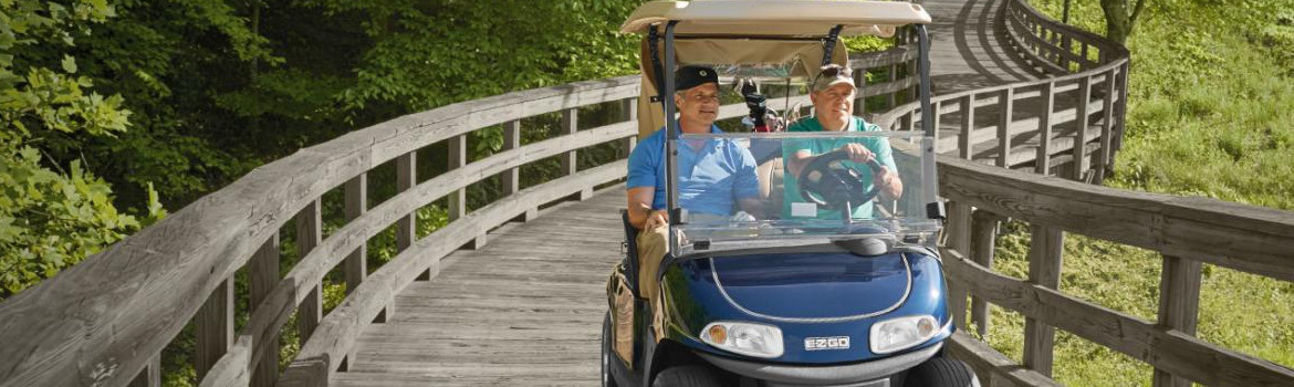 2018 E-z-go Freedom RXV for sale in Roanoke Golf Cars, Roanoke, Virginia